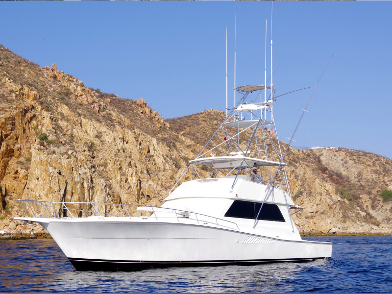 cabo fishing boat rental