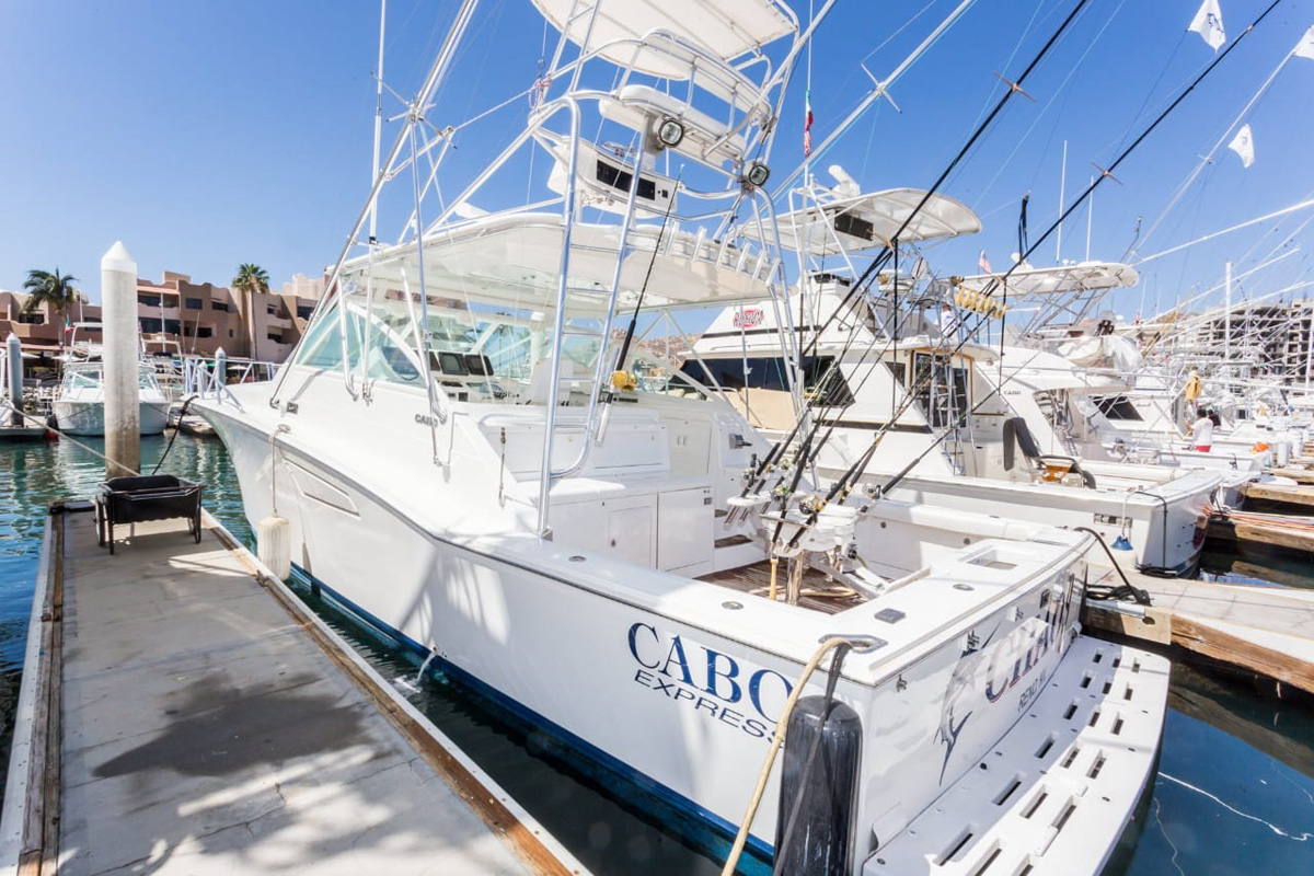 cabo yachts new bern nc